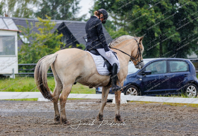 Nibe_Klasse_13_JM_Senior_Dressur-64