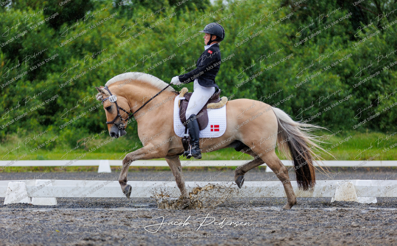 Nibe_Klasse_13_JM_Senior_Dressur-65