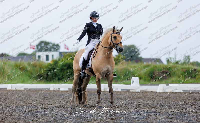 Nibe_Klasse_13_JM_Senior_Dressur-66