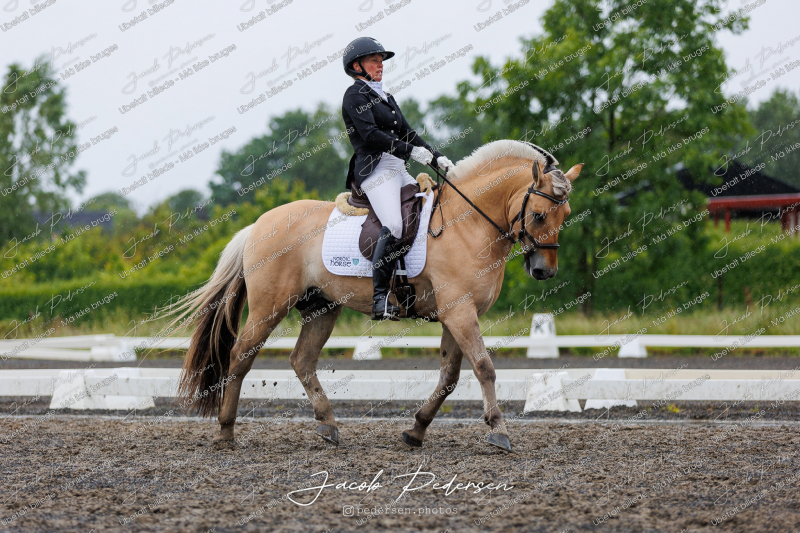 Nibe_Klasse_13_JM_Senior_Dressur-69