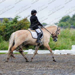 Nibe_Klasse_13_JM_Senior_Dressur-7