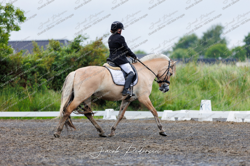 Nibe_Klasse_13_JM_Senior_Dressur-7