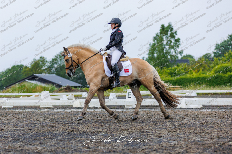Nibe_Klasse_13_JM_Senior_Dressur-71