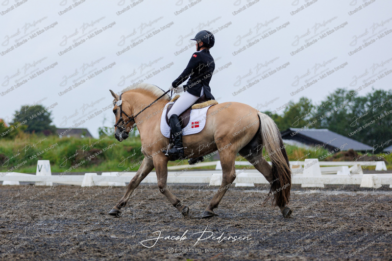 Nibe_Klasse_13_JM_Senior_Dressur-72