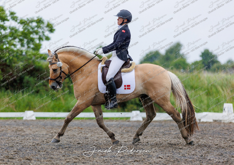 Nibe_Klasse_13_JM_Senior_Dressur-73