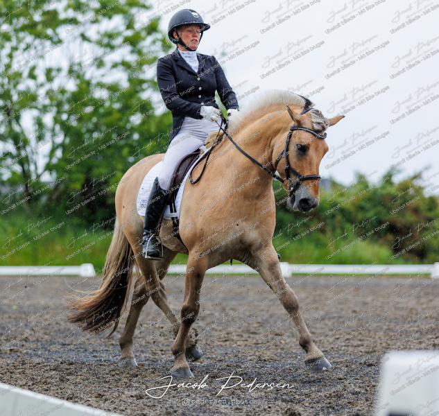 Nibe_Klasse_13_JM_Senior_Dressur-75
