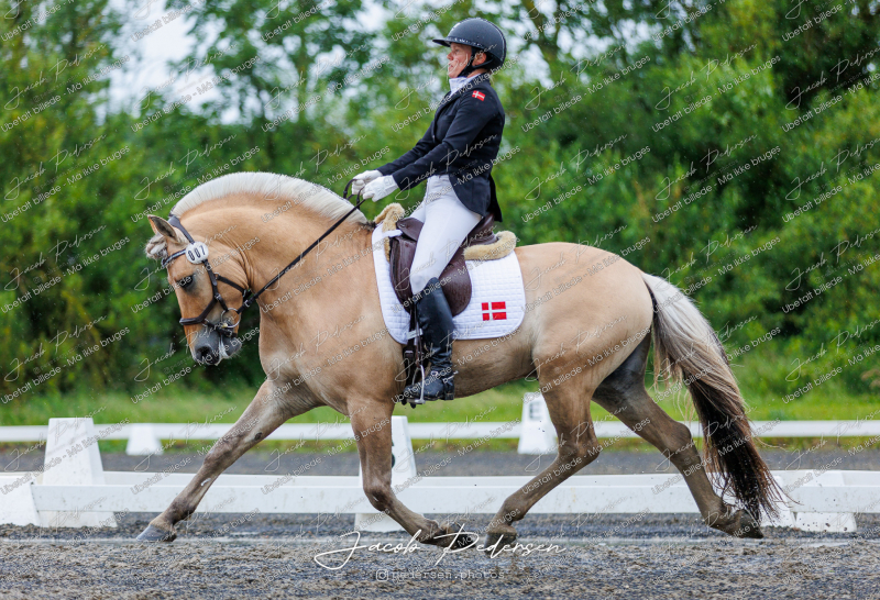 Nibe_Klasse_13_JM_Senior_Dressur-78