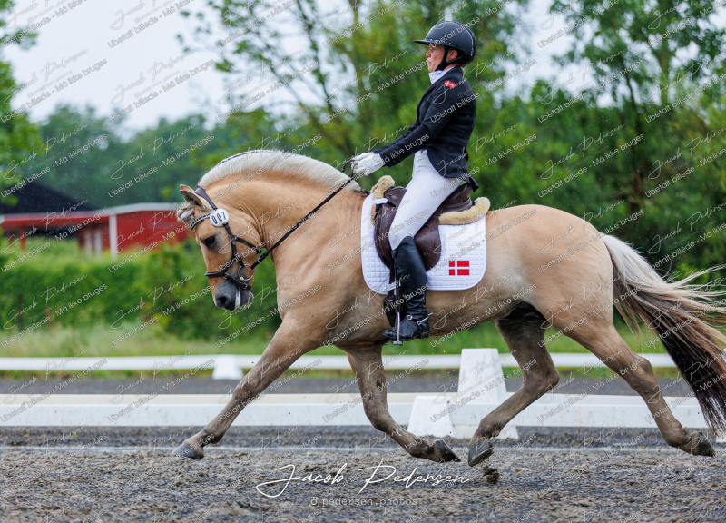 Nibe_Klasse_13_JM_Senior_Dressur-79