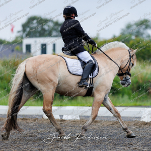 Nibe_Klasse_13_JM_Senior_Dressur-8