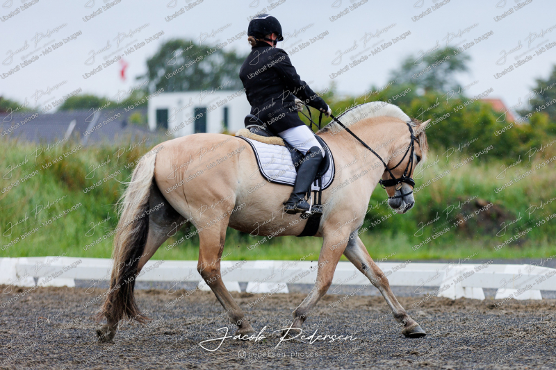 Nibe_Klasse_13_JM_Senior_Dressur-8