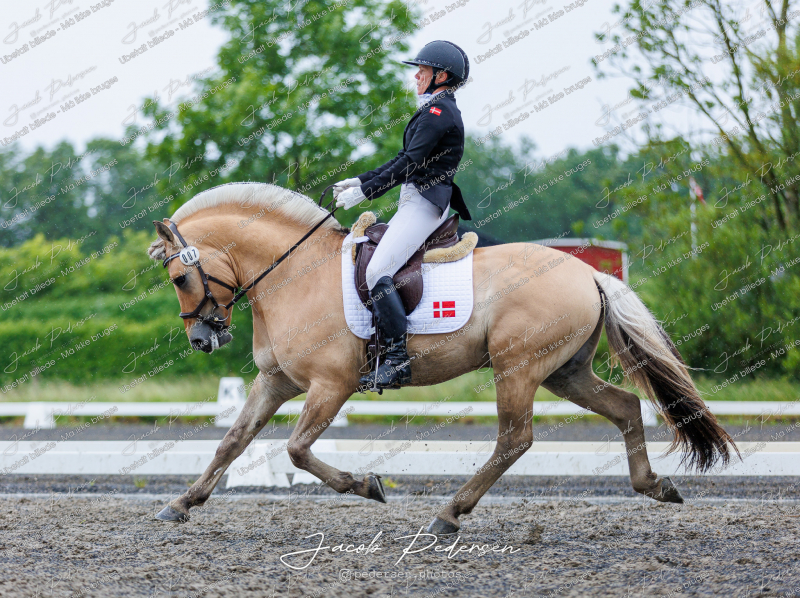 Nibe_Klasse_13_JM_Senior_Dressur-80