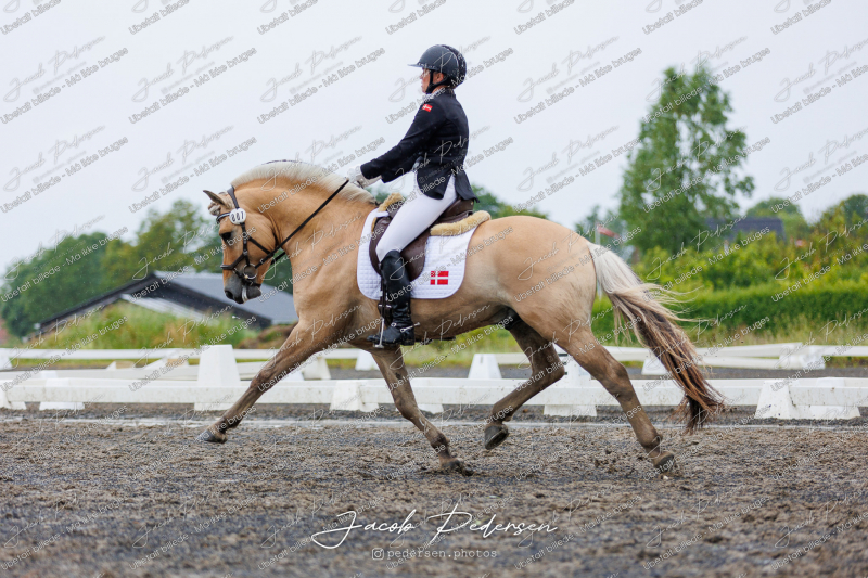 Nibe_Klasse_13_JM_Senior_Dressur-81