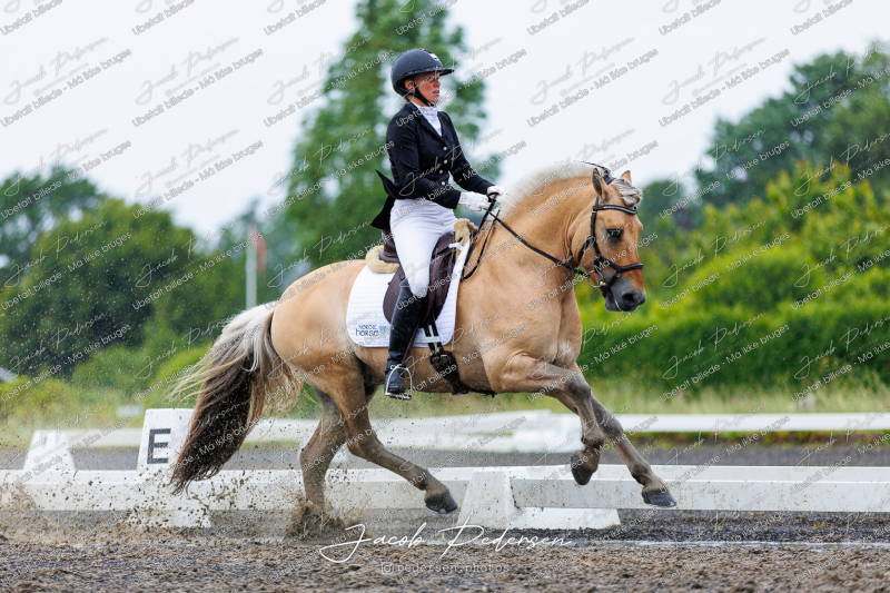 Nibe_Klasse_13_JM_Senior_Dressur-82