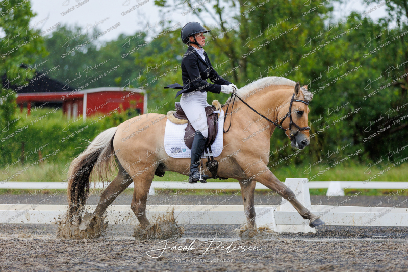 Nibe_Klasse_13_JM_Senior_Dressur-83