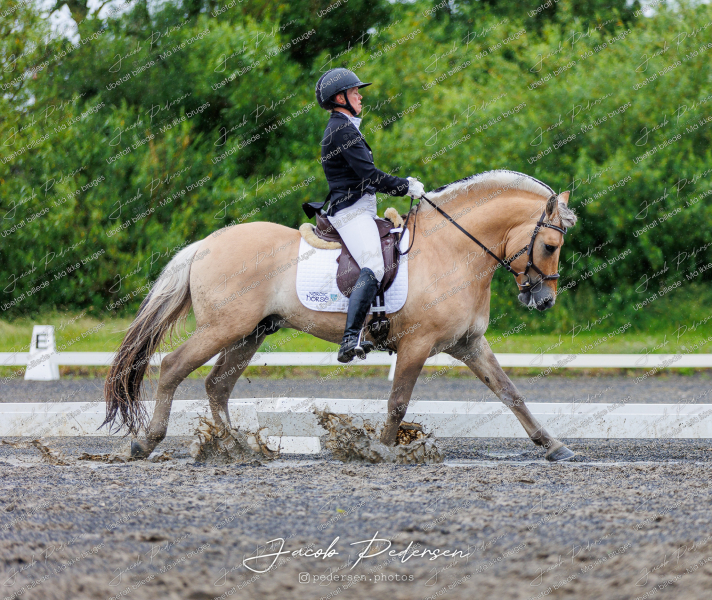 Nibe_Klasse_13_JM_Senior_Dressur-85