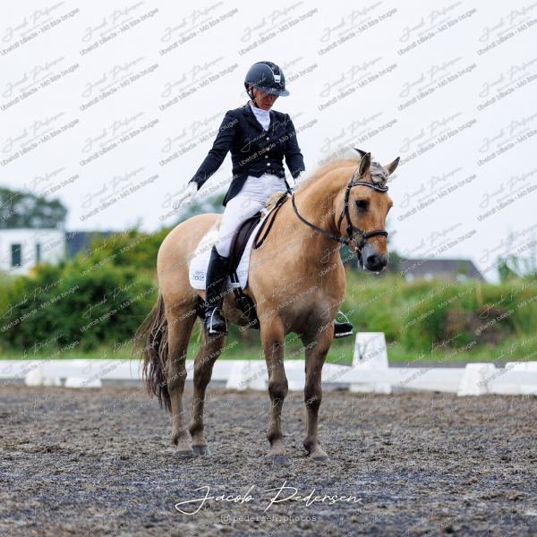 Nibe_Klasse_13_JM_Senior_Dressur-86