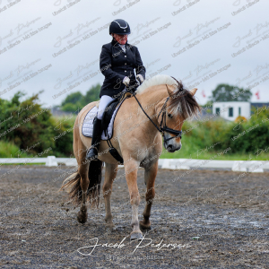 Nibe_Klasse_13_JM_Senior_Dressur-9