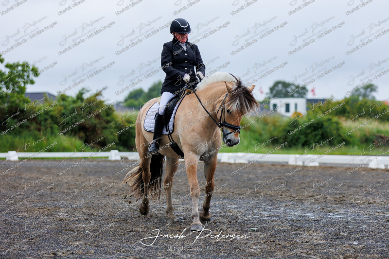 Nibe_Klasse_13_JM_Senior_Dressur-9