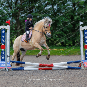 Nibe_Klasse_14-11