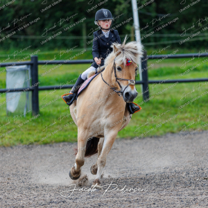 Nibe_Klasse_14-12