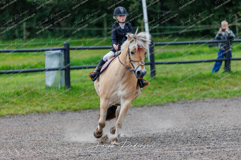 Nibe_Klasse_14-12