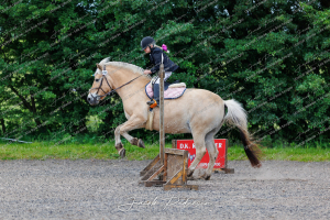 Himmerlandsblakken Nibe - Klasse 14