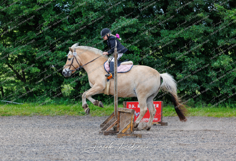 Nibe_Klasse_14-4