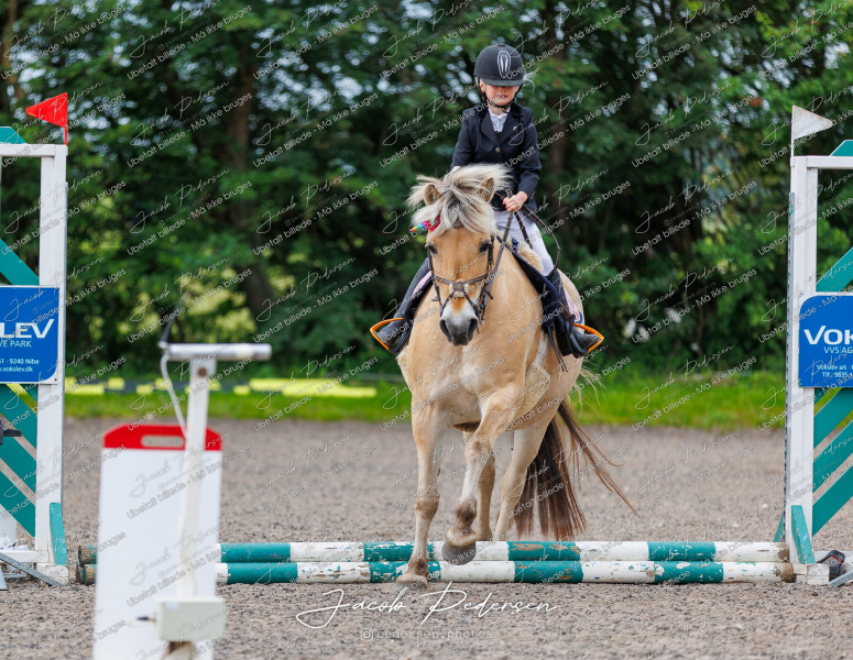 Nibe_Klasse_14-6