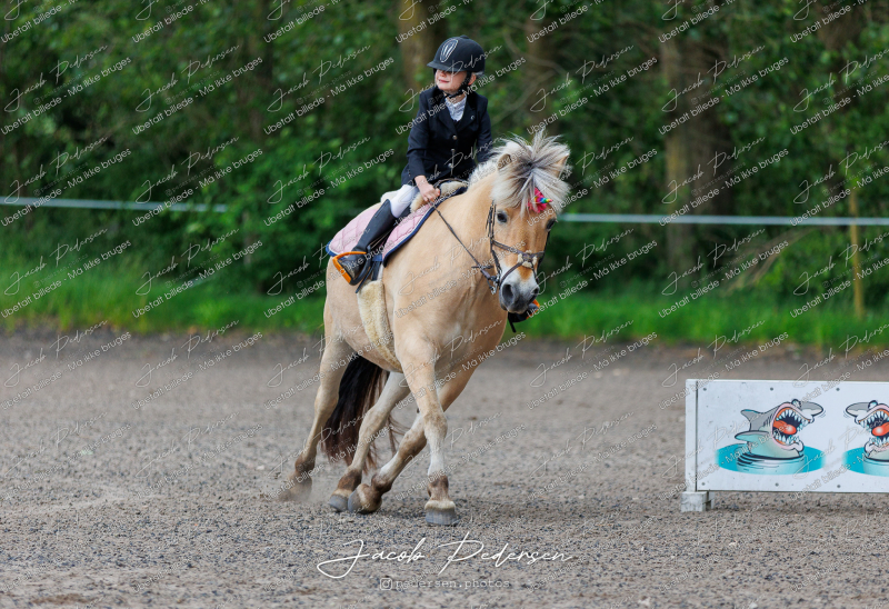 Nibe_Klasse_14-9