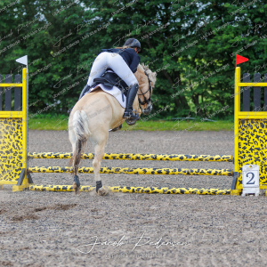Nibe_Klasse_15-1