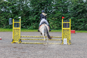 Himmerlandsblakken Nibe - Klasse 15