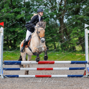 Nibe_Klasse_15-11