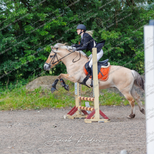 Nibe_Klasse_15-12
