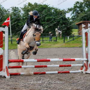 Nibe_Klasse_15-13