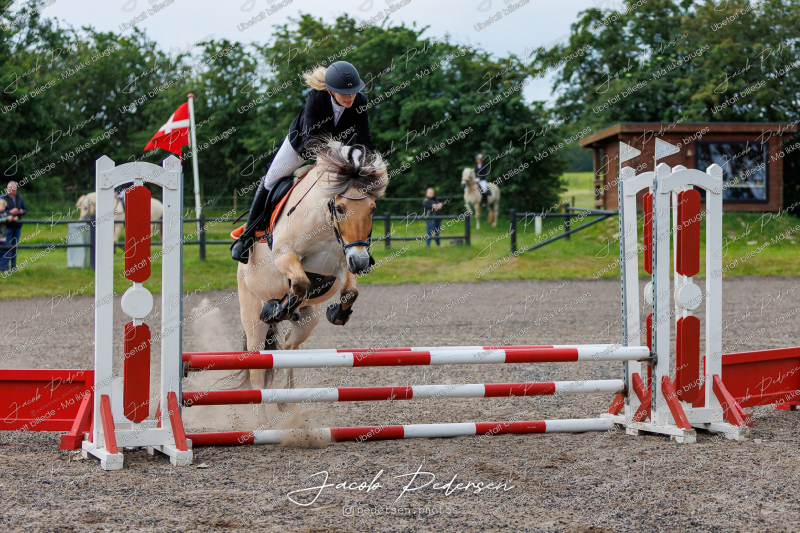 Nibe_Klasse_15-13