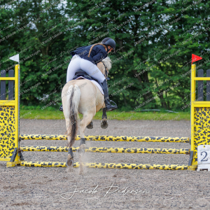 Nibe_Klasse_15-17