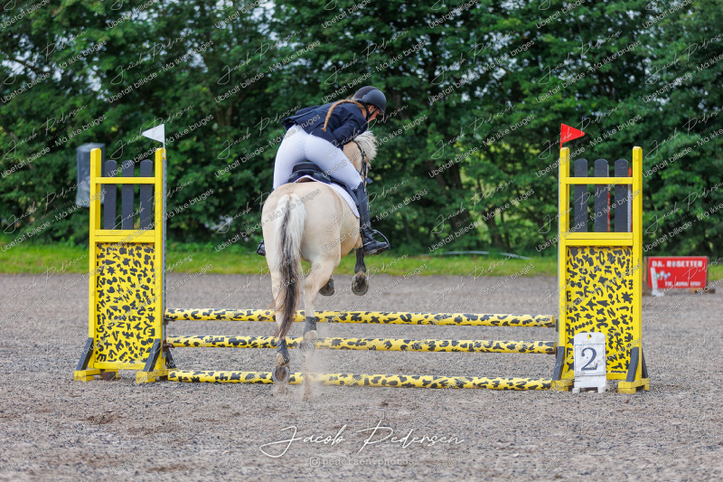 Nibe_Klasse_15-17