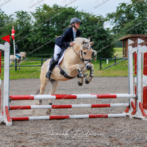 Nibe_Klasse_15-19