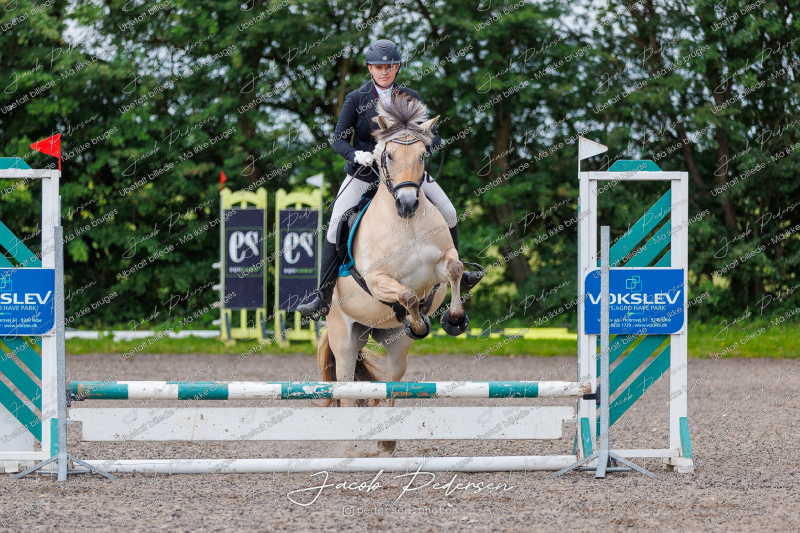 Nibe_Klasse_15-28