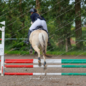 Nibe_Klasse_15-3