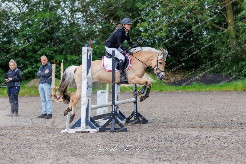 Nibe_Klasse_15-41
