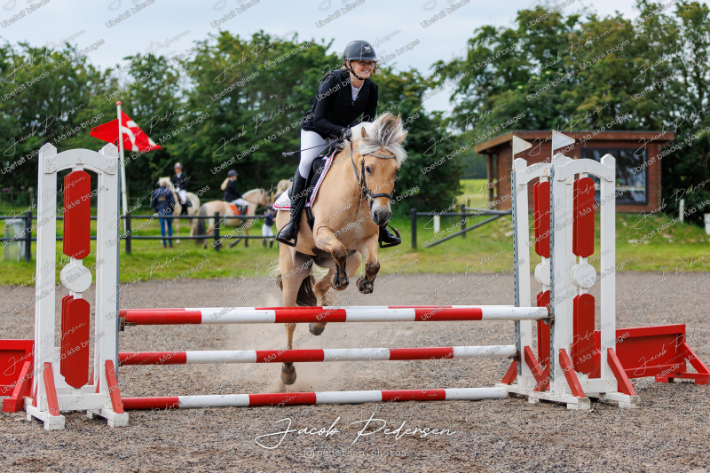 Nibe_Klasse_15-43