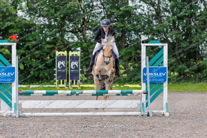 Nibe_Klasse_15-45