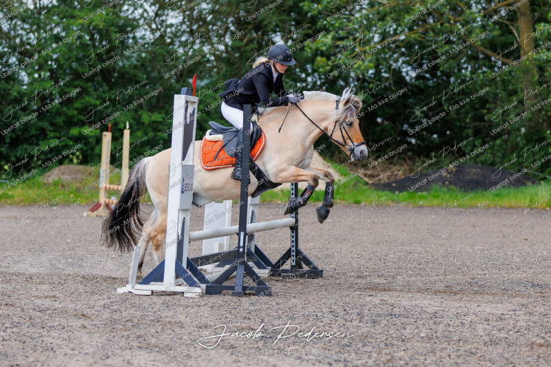 Nibe_Klasse_15-46