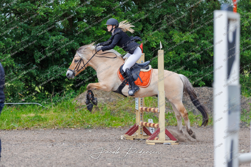 Nibe_Klasse_15-49