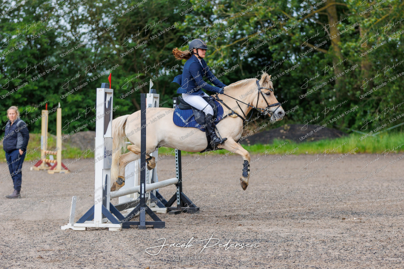 Nibe_Klasse_15-5