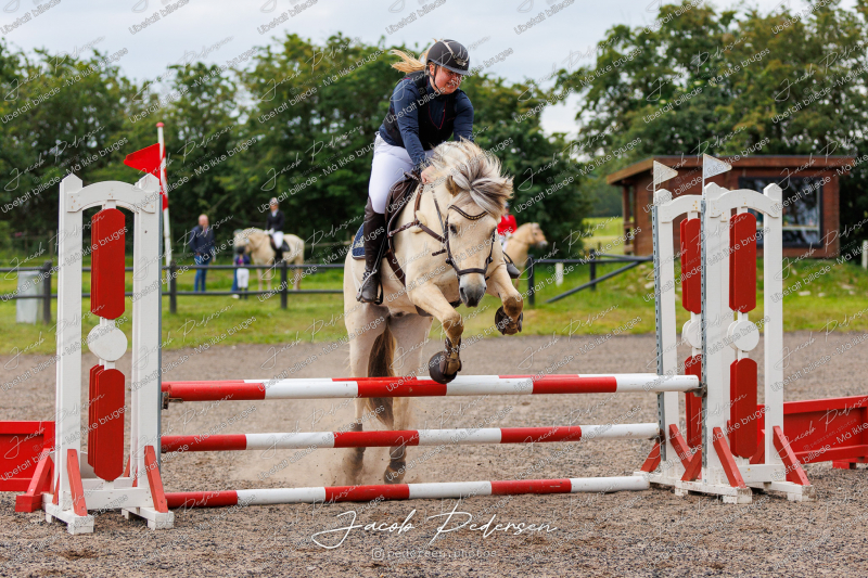Nibe_Klasse_15-56