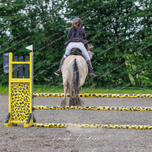 Nibe_Klasse_15-79