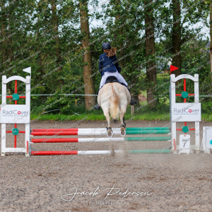 Nibe_Klasse_15-8