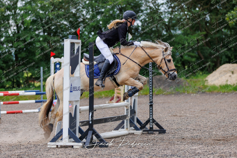Nibe_Klasse_18_JM_Junior_Spring-10